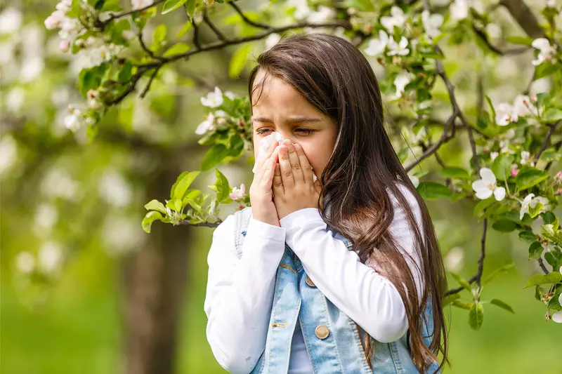 A Young Child Blows Her Nose into a Tissue While Walking Through a Forest.