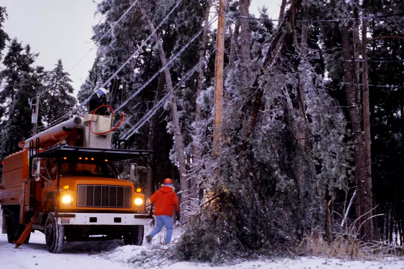 City workers assessing the damage of an electric pole done by a large tree branch