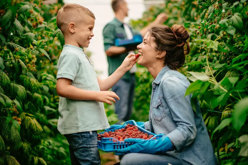A son feeding his mom a strawberry.