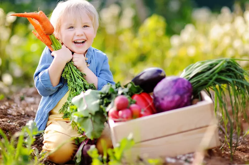 Happy child in a vegetable garden.