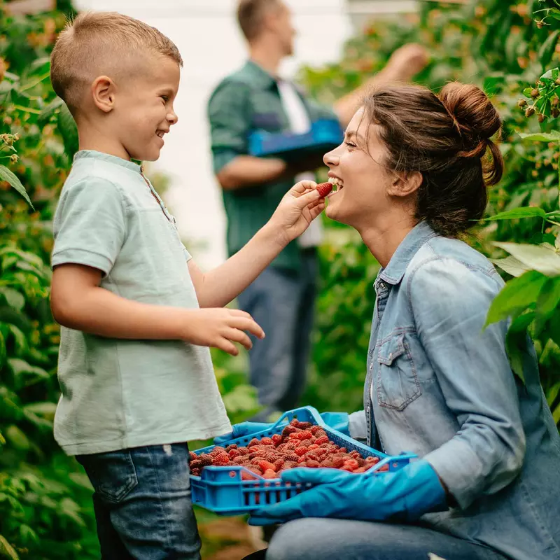 A son feeding his mom a strawberry.